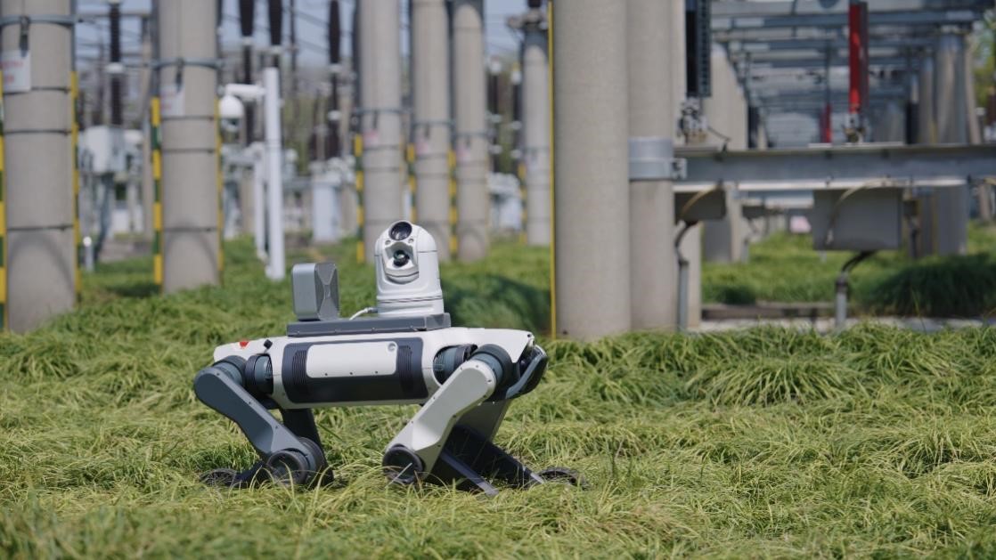 1750669240531841.jpg 图片1.jpg